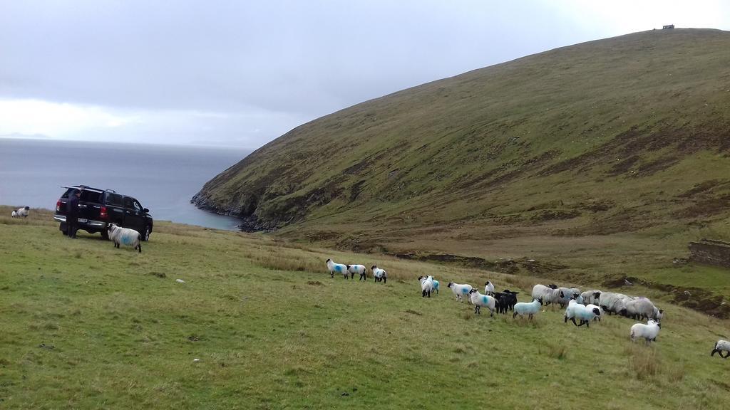 Achill West Coast House Bed and Breakfast Dooagh Eksteriør billede