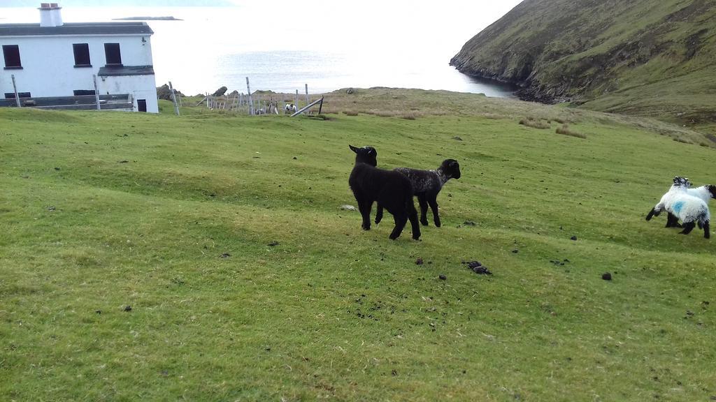 Achill West Coast House Bed and Breakfast Dooagh Eksteriør billede