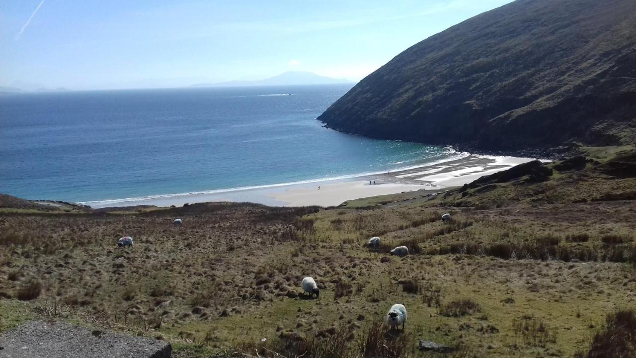 Achill West Coast House Bed and Breakfast Dooagh Eksteriør billede
